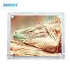 Sublimation 10 Inch Four Holes Bevel Crystal Photo Frame BL09